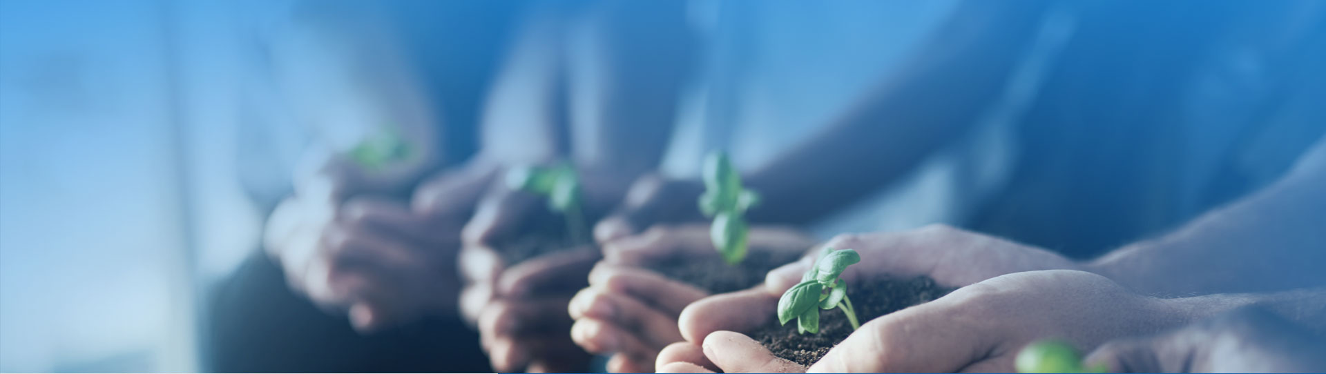 asiagame(中国区)官方网站